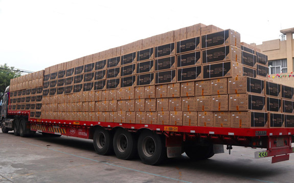 一大卡車(chē)的菲思盾壁掛爐出貨