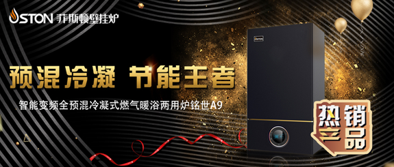 壁掛爐的王者全預(yù)混冷凝壁掛爐